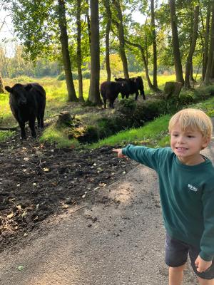 Sint-Martinus den XIIde - september-oktober